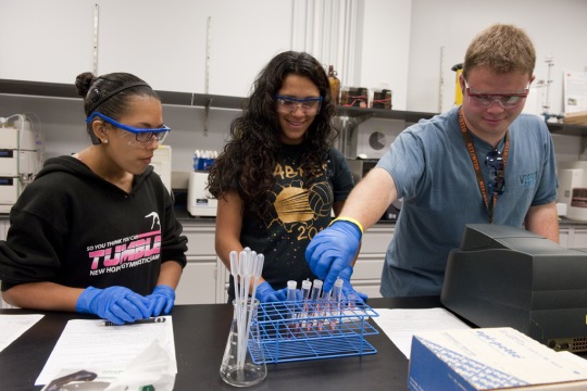 Three students performing a science experiment