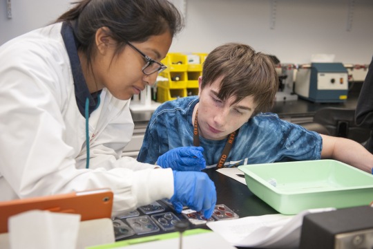 Two students working together in a science lab