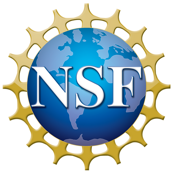 NSF logo