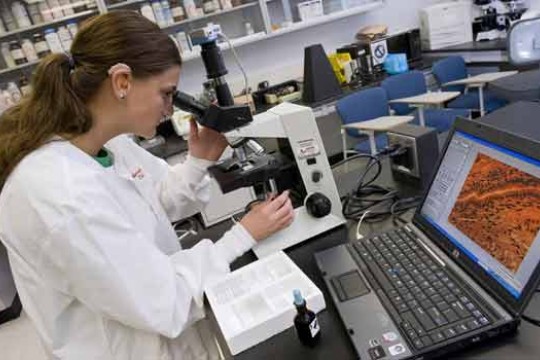 Student looking through microscope