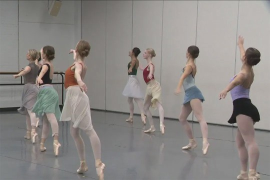 seven ballerinas in two lines practicing a dance move.