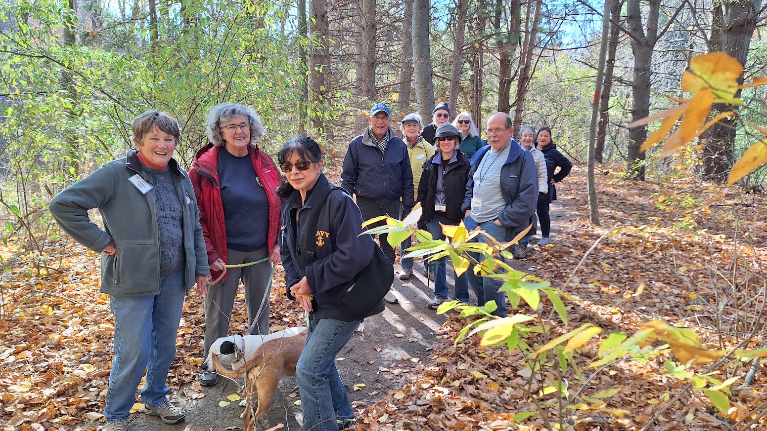 Osher members in the Walking SIG on a park trail