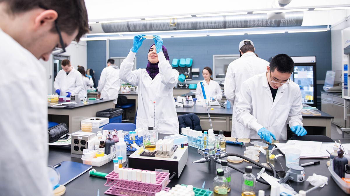 student researchers working in a lab setting.