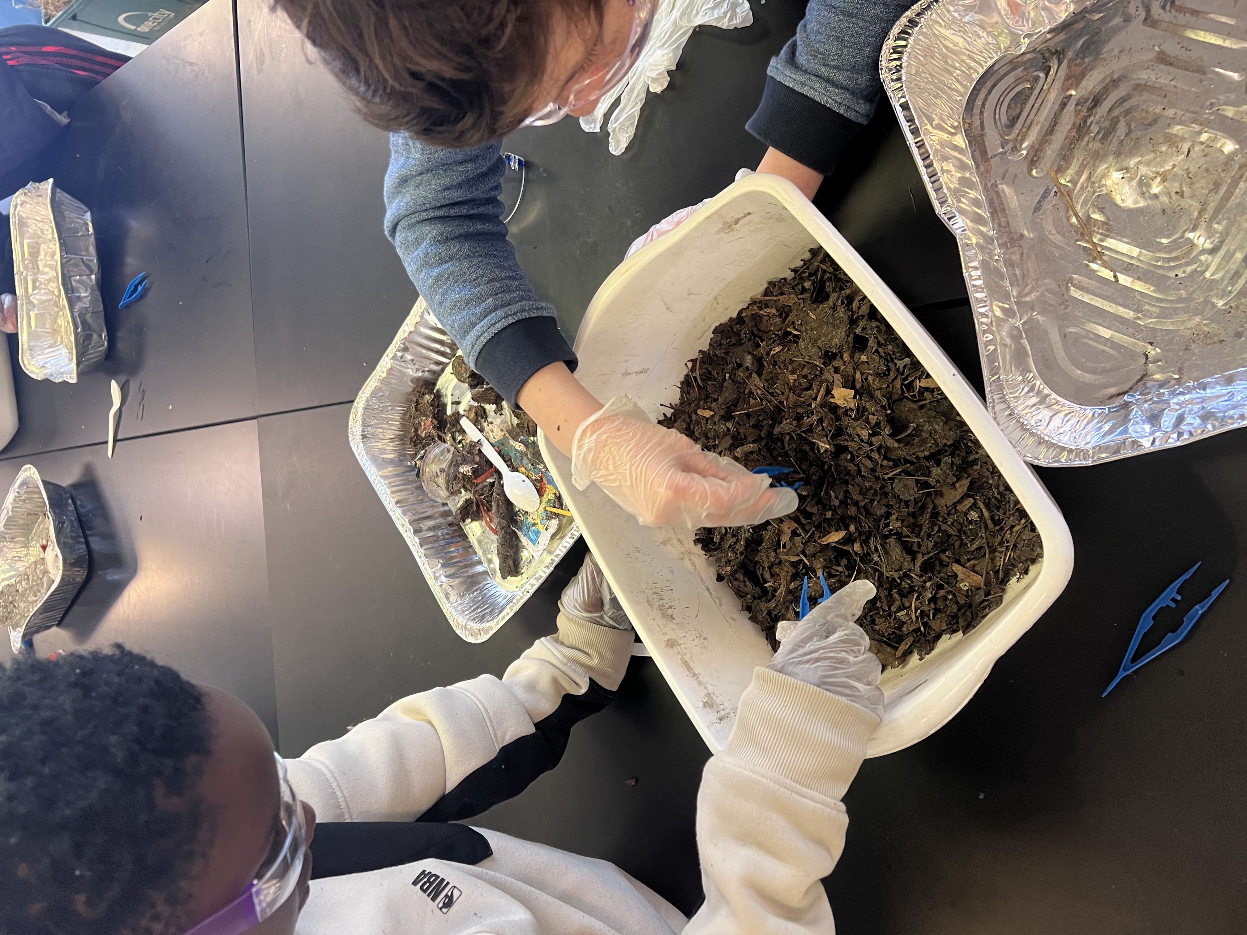 Students sorting a LittaTrap™ sample