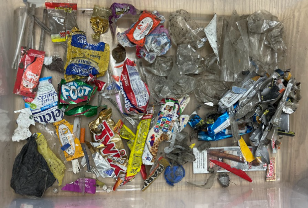 Photo showing diverse types of trash
