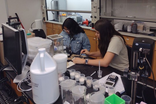 Two students working in a science lab