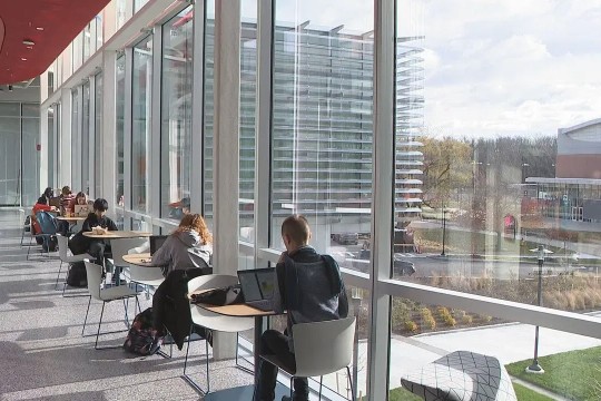 college students sitting at tables along a glass wall in a building.