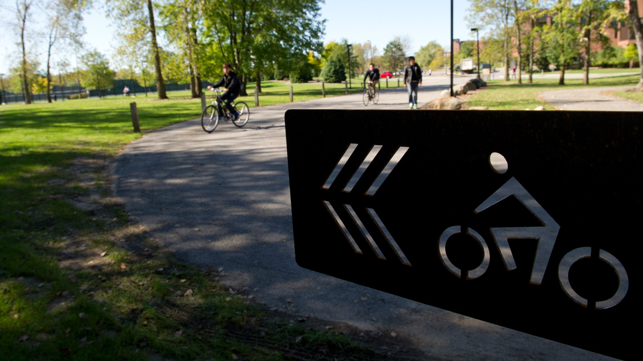 bike rack with green grass in background