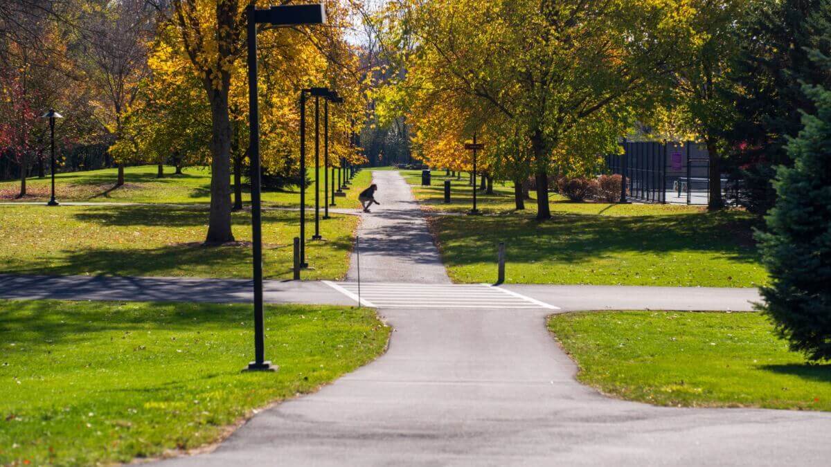 a student working out on a path outdoors in the fall.