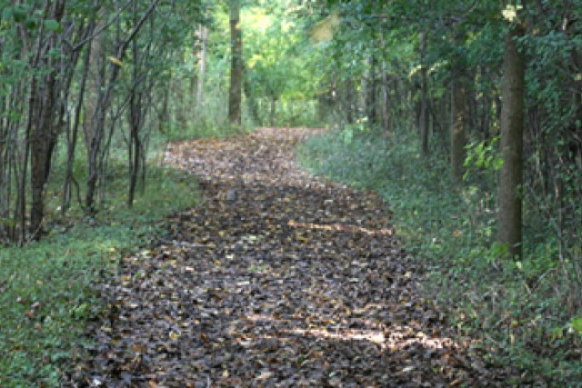 Nature trail with leaves on it.