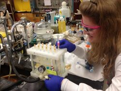 Lauren Heese (BS, 2016) Biochemistry Technician M.D. Anderson Cancer Research Center