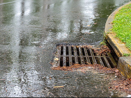 a wet road and a drainage ditch