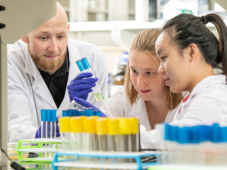 Assistant Professor Stefan Schulze advising undergraduate students in his lab.