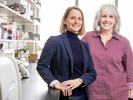 Professors Karin Wuertz-Kozak and Maureen Ferran