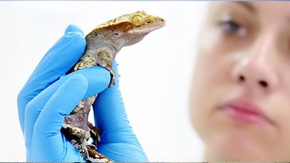 student holding a reptile