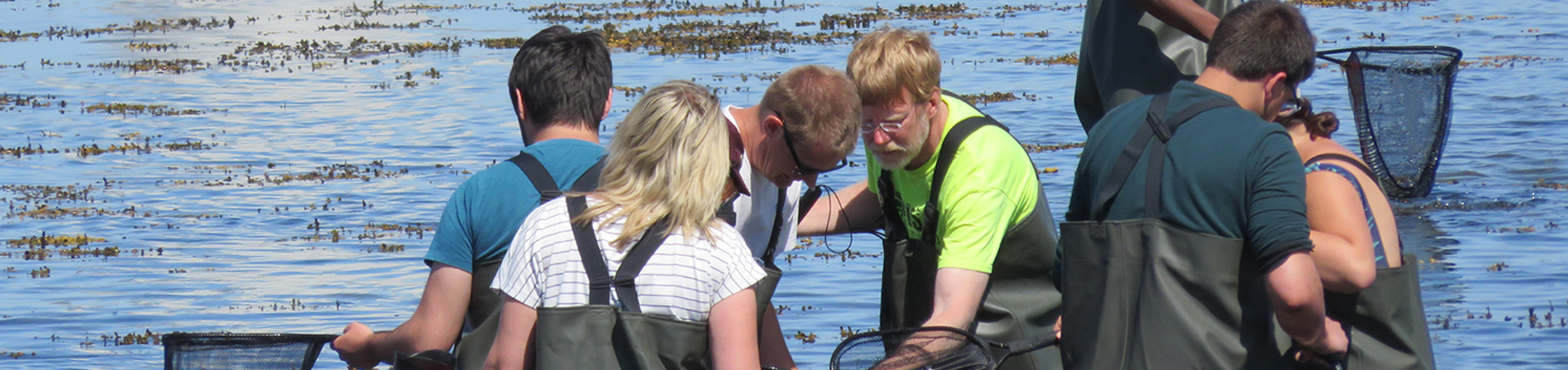 study abroad students collecting samples in Sweden