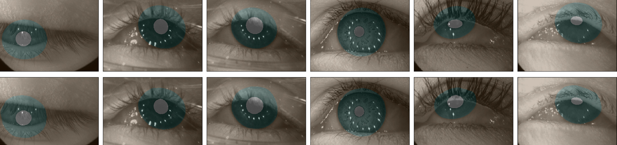 multiple images of eyes
