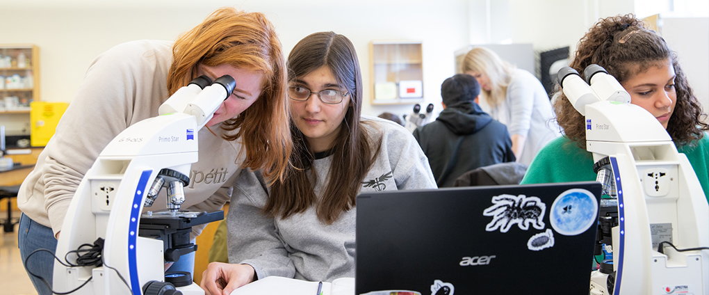 students in zoology class using microscopes