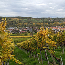photo of the Finger Lakes Region in NY