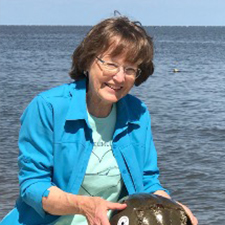 headshot of H. jane Brockmann