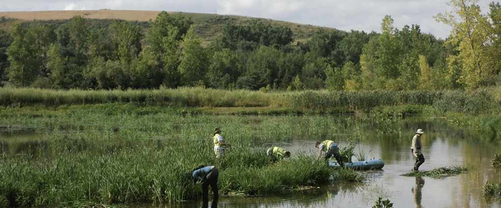 environmental students gathering samples in water