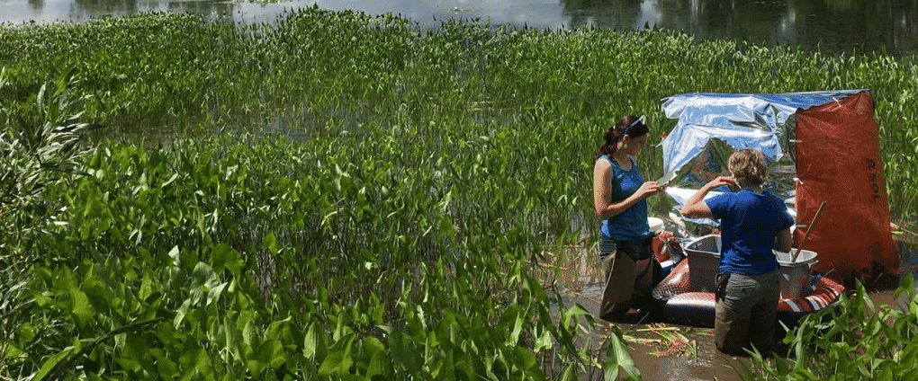 students in lake conducting research