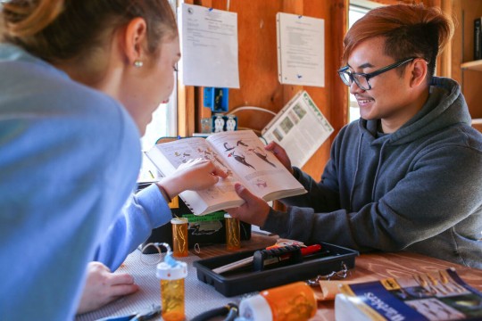 Two students looking at a textbook.