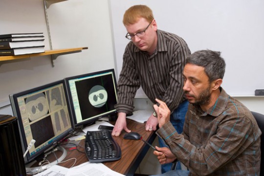 People working on computers in office