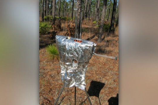 Picture of experiment