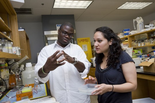 People working in lab