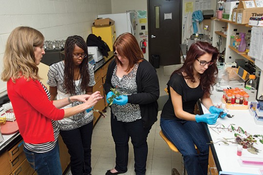 People gathered in lab