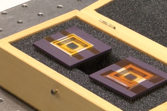 padded box holding two semiconductor chips.