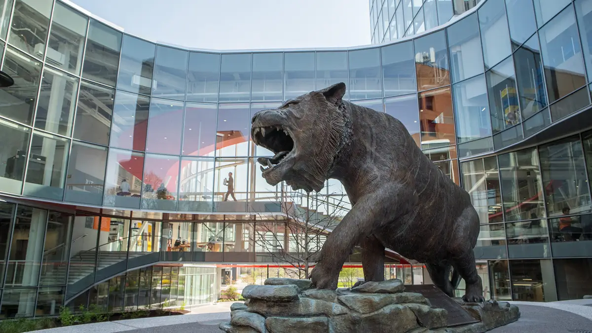 The tiger statue in front of the SHED.
