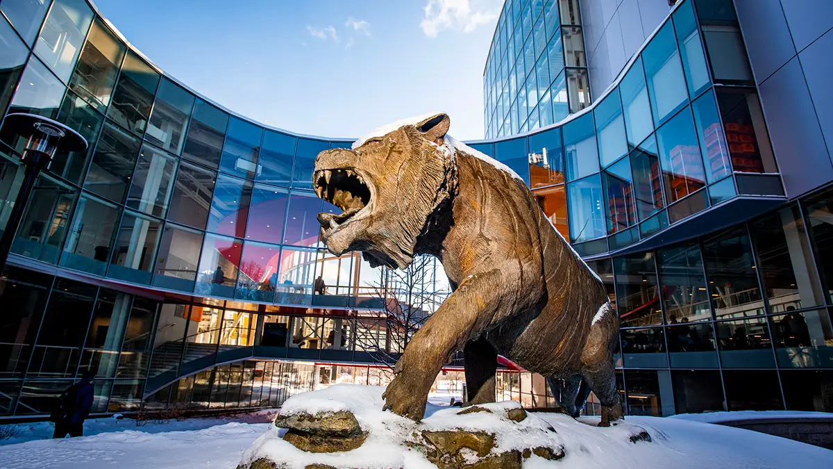 An exterior view of the SHED taken from the Fred Smith Courtyard, featuring the dramatically lit Tiger Statue on a winter day.