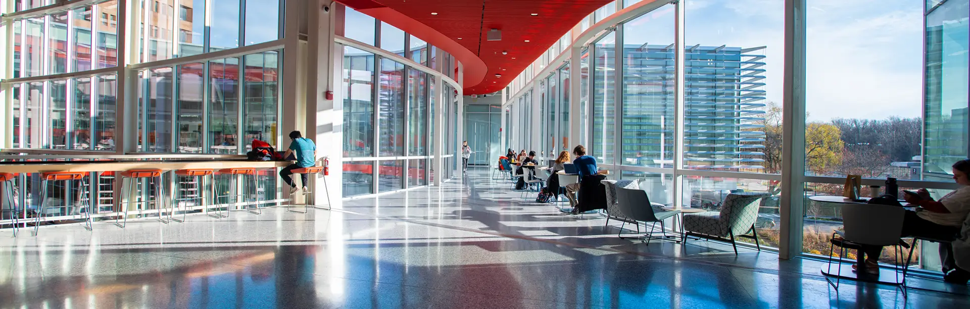 Students sitting in the Wolk Reception Area on a sunny day.
