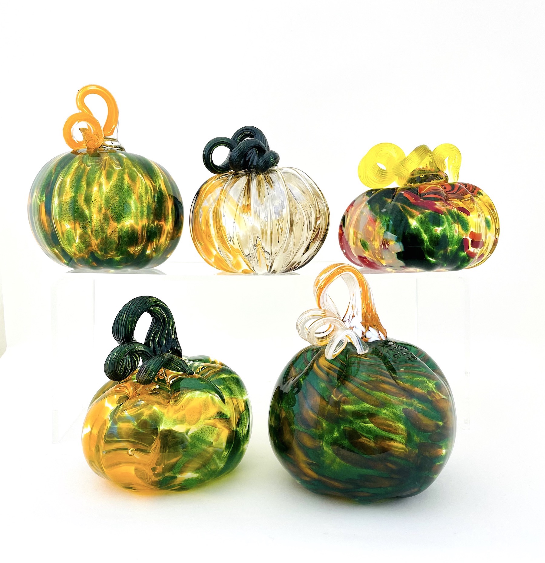 a group of five glass pumpkins with green bodies and curly stems.