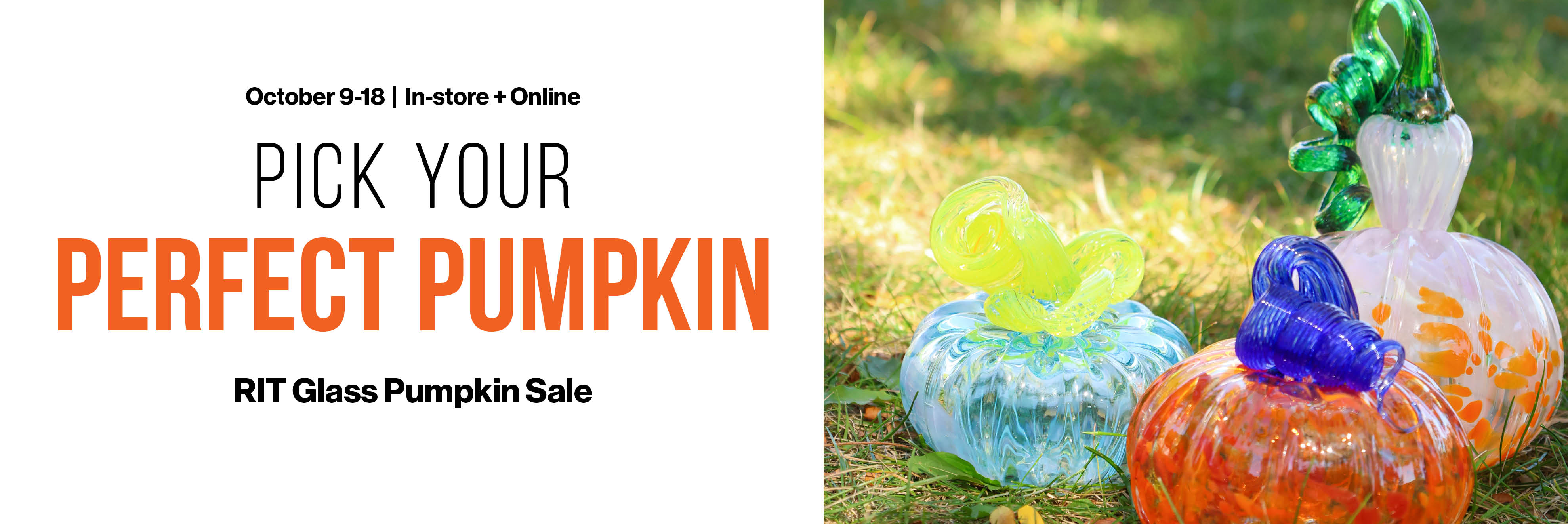 back and orange text with a photo of various glass pumpkins