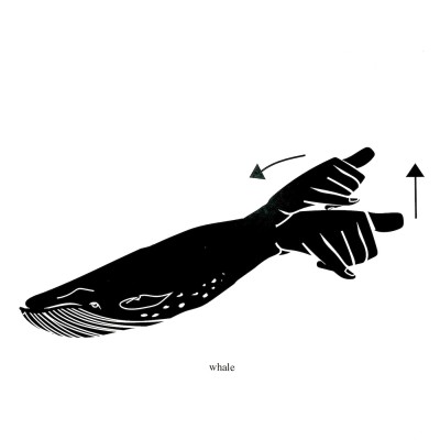 Black and white illustration of a whale with the American hand sign for whale incorporated into it.