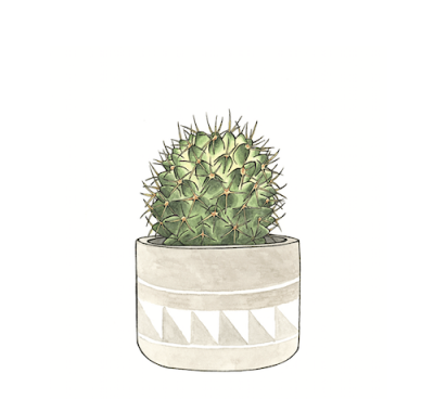 A print with an illustration of a spiky barrel shaped cactus in a grey pot with a geometric pattern.