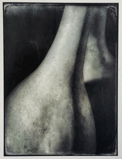 a close up black and white photograph of a narrw necked gourd that swells into a round body.