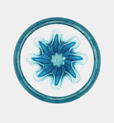 a round clear glass bowl with a starfish like teal design in the center with air bubbles around it.