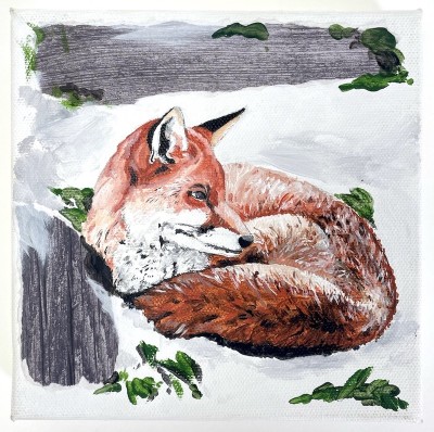 a hand painted illustration of a red fox curled up in the snow.
