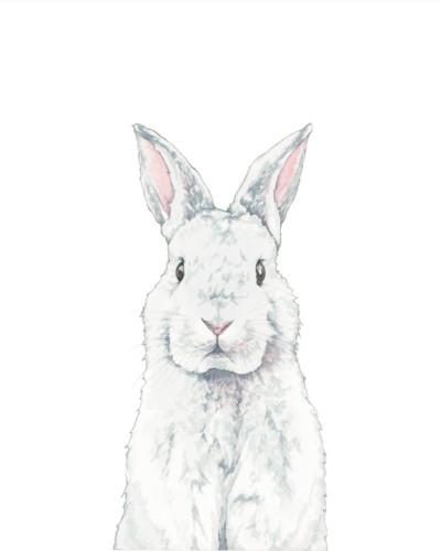 a hand illustration of a three quarter view of a rabbit standing upright.