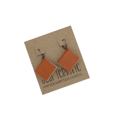 brick color book earrings