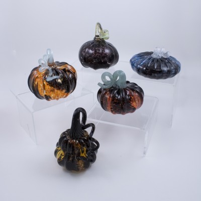 a variety of black marbled pumpkins with a pop of color