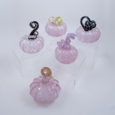 a variety of pink pumpkins
