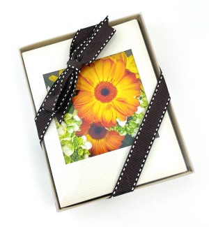 Boxed notecard set with image of a daisy flower and a bow tied around the box.