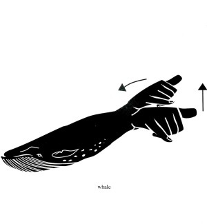 Black and white illustration of a whale with the American hand sign for whale incorporated into it.