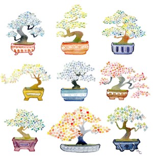 An illustration of nine bonsai trees with different colored leaves in colorful decorative pots.