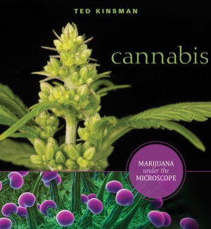 book cover of 'Cannabis - Marijuana under the Microscope' featuring close up photography of a cannabis plant and a slice of a microscopic photograph of a cannabis plant underneath.
